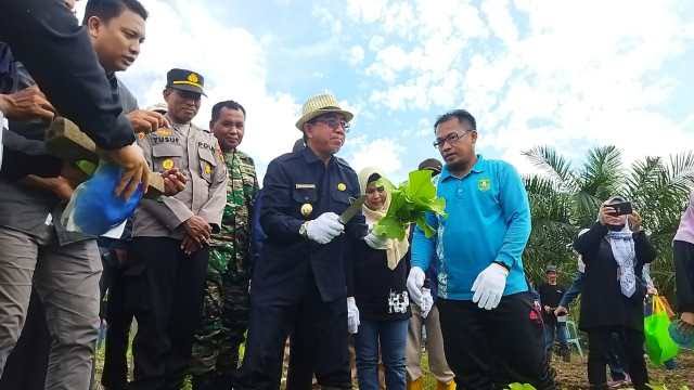 ebuah konsep pengembangan pangan yang dilakukan secara terintegrasi. Dinas Pertanian dan Peternakan Kutim akan membangun kawasan food estate.