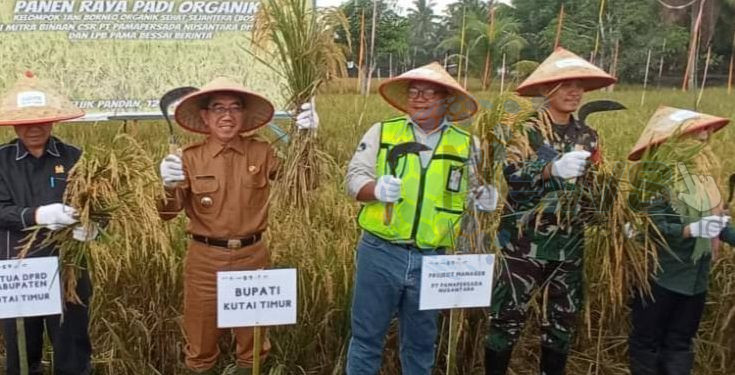 pemerintah juga berkomitmen untuk mendukung hasil produksi pertanian, dengan mempromosikan hasil panen padi kepada khalayak umum.