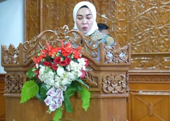 Anggota Komisi A DPRD sekaligus Anggota Fraksi Partai Persatuan Pembangunan (PPP), Fitriyani.