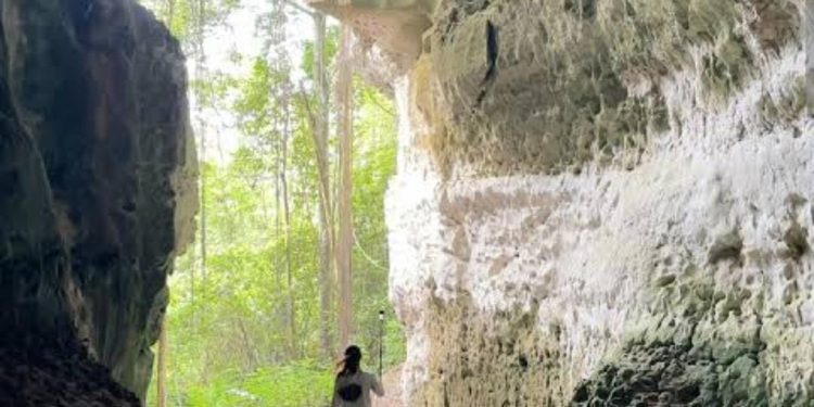 Eksotisme Gua Araraya Karangan Kutim: Lorong Alam Tersembunyi dengan Potensi Wisata Petualangan