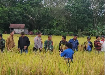 Bengalon Gencarkan Ketahanan Pangan: Pengembangan Sawah Dimulai di Sekerat dan Sepaso Barat Berkat Sinergi Lintas Sektor